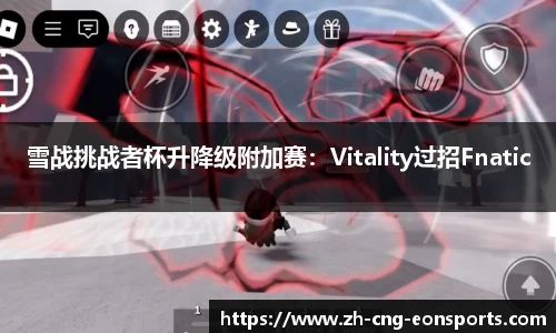 雪战挑战者杯升降级附加赛：Vitality过招Fnatic